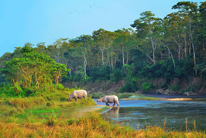 Chitwan Nationalpark