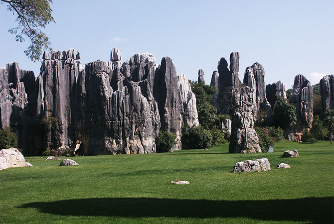 Kunming Steinwald 